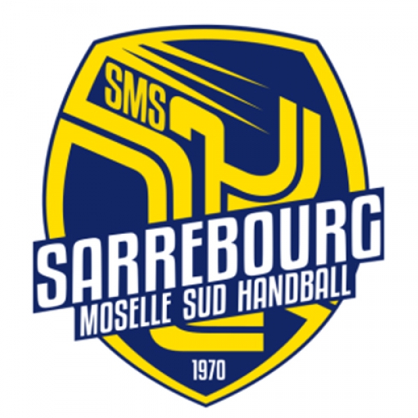 Sarrebourg Moselle Sud Handball II