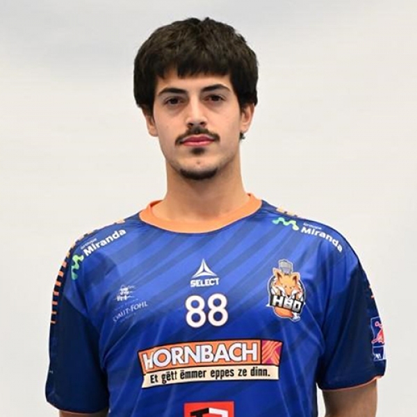 Diogo Rebimbas Mendonca